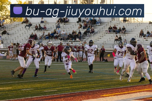 AG九游会官网平台生态图